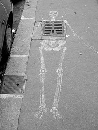 Anatomy on the street