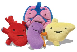 Anatomy related gifts for the holiday season