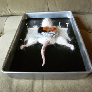 Dissect a rat, warm and cuddly in knit