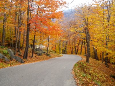 Happy Thanksgiving, and a blogging break