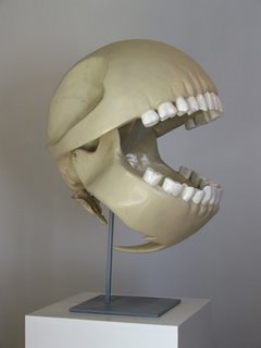 Pac man’s skull Pac man’s skull