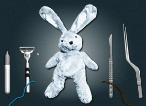 stuffed bunny surgery