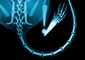 typographical xray 2