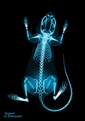 typographical xray
