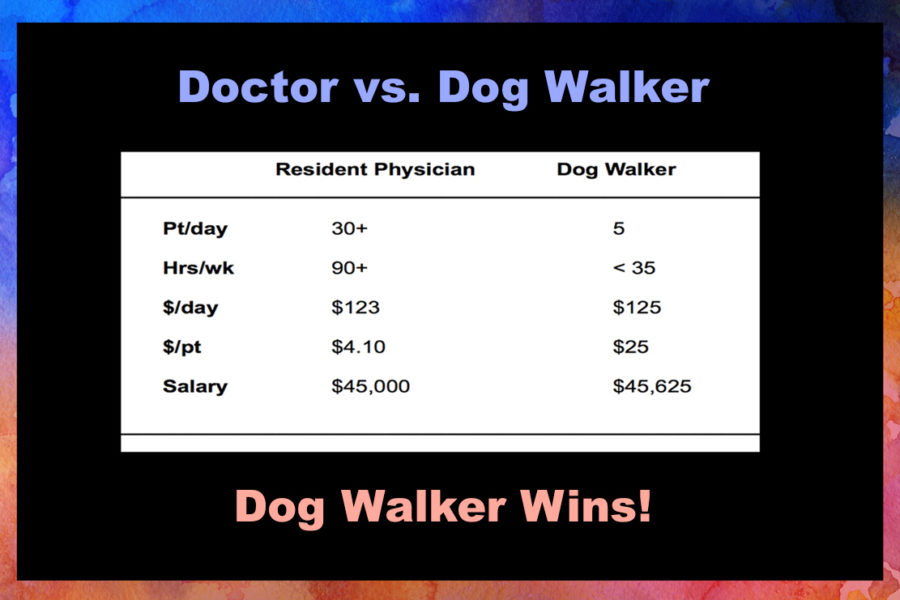 average dog walker cost