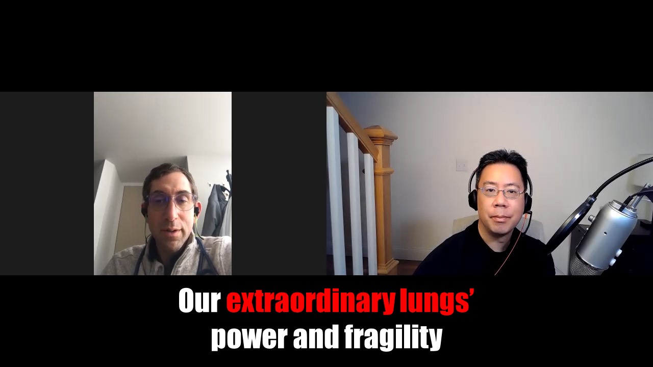 Our extraordinary lungs' power and fragility [PODCAST] - Vimarsana News