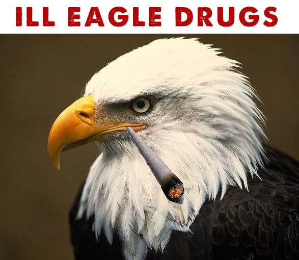 illeagledrugs.jpg